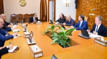 وزير الخارجية يشدد على ضرورة تثبيت وقف إطلاق النار في غزة